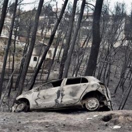 Ποτέ δεν πίστεψαν την Κασσάνδρα, θα την πιστέψουμε εμείς;