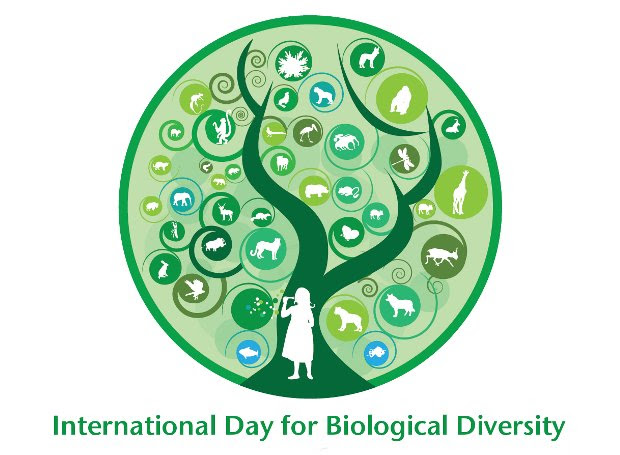 Οι Οικολόγοι ΠΡΑΣΙΝΟΙ για την Παγκόσμια Ημέρα Βιοποικιλότητας