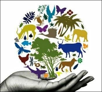 Μόνο οι πολίτες μπορούν να σώσουν την παγκόσμια βιοποικιλότητα