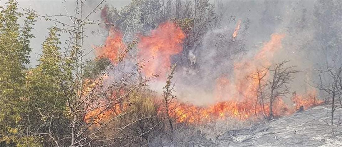 Η πυρκαγιά που ξέσπασε στο Εθνικό Πάρκο Δαδιάς-Λευκίμης Σουφλίου, έρχεται να μας θυμίσει με οδυνηρό τρόπο τις τεράστιες ελλείψεις προστασίας που παρατηρούνται στη χώρα μας, σε περιοχές μοναδικού φυσικού κάλλους […]