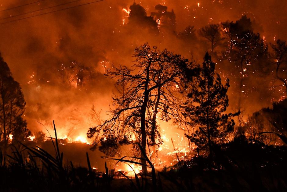 Τεράστια οικολογική καταστροφή από την πυρκαγιά στον Σχίνο Κορινθίας-Χρειαζόμαστε διαχειριζόμενα δάση ρητίνης για την διάσωσή των πευκοδασών από τις φλόγες!